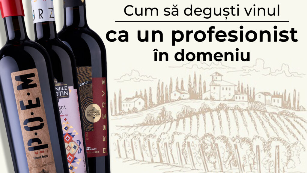 Cum sa degusti vinul ca un profesionist in domeniu